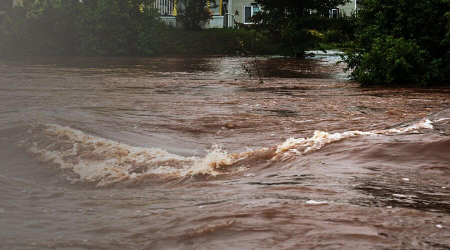 Why choose water damage cleanup for ceiling water damage repair in Pontiac